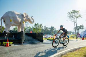 BIB: 
                            <button type="button" onclick="openModal(26183010)" class="btn btn-primary btn-sm float-right btn-popup" data-toggle="modal" data-target=".modal-high-quality">
                        <i class="fas fa-shopping-cart"></i> Add to Cart
                    </button>
                                            <button type="button" onclick="isThisMe(26183010, true)" class="btn btn-success btn-sm float-right btn-popup btn-isme hidden" data-toggle="tooltip" data-placement="bottom" title="นี่คือรูปของคุณใช่ไหม คลิกที่นี่เพื่อเอาเข้าอัลบั้ม">
                        <i class="fas fa-plus"></i> Add to album
                    </button>
                    <button type="button" onclick="isThisMe(26183010, false)" class="btn btn-warning btn-sm float-right btn-popup btn-isnotme hidden">
                        <i class="fas fa-ban"></i> Remove from album
                    </button>